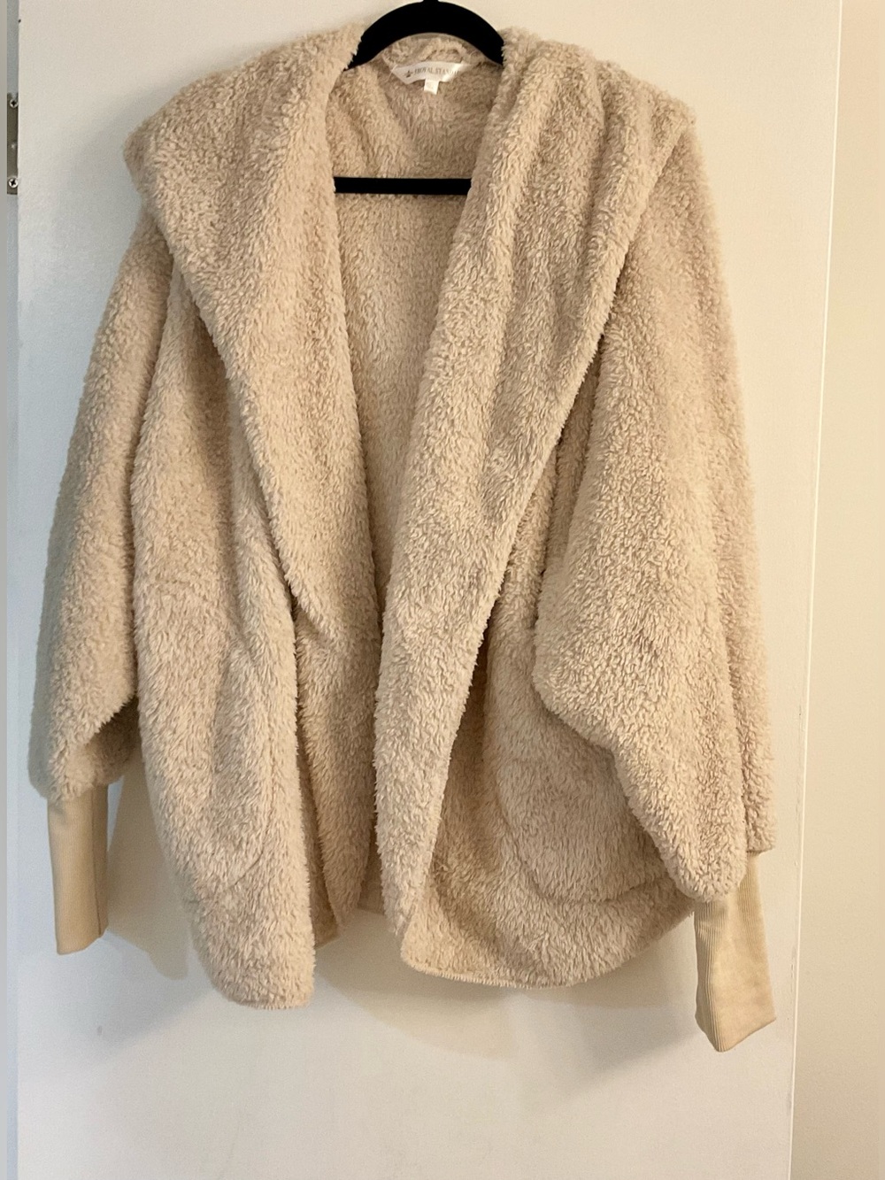 💕 Cozy Plush Hooded Jacket
